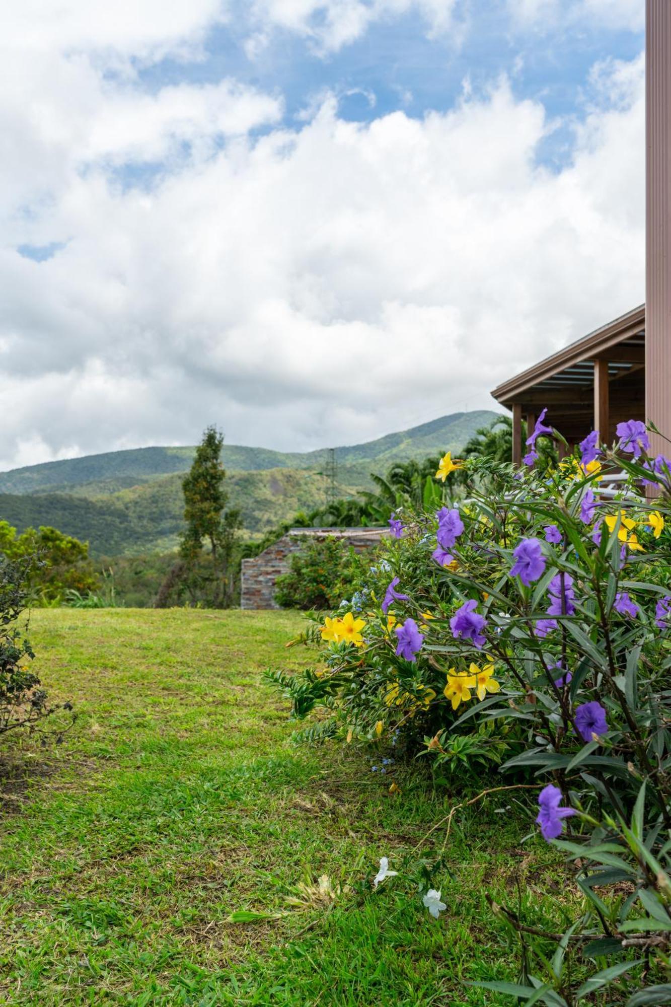 Villa Calypso Bay Bouillante Exterior foto